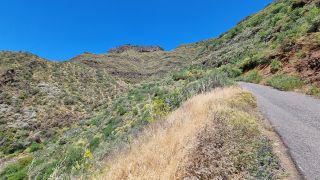 2023-04-GranCan-Guayadeque-073.jpg